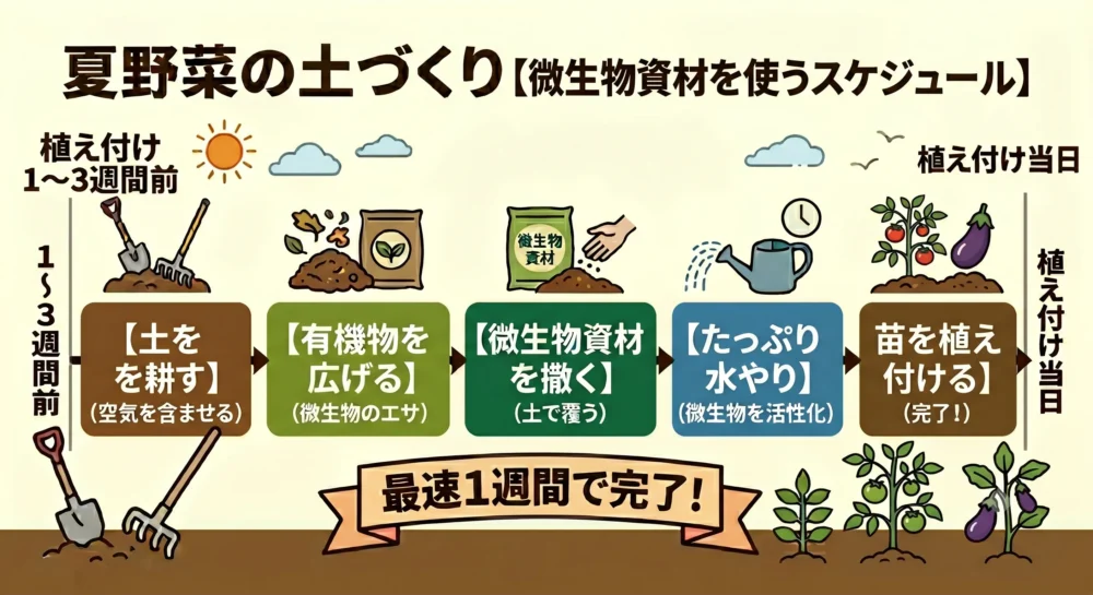 タイムラインでわかる！微生物資材活用の土づくりの手順