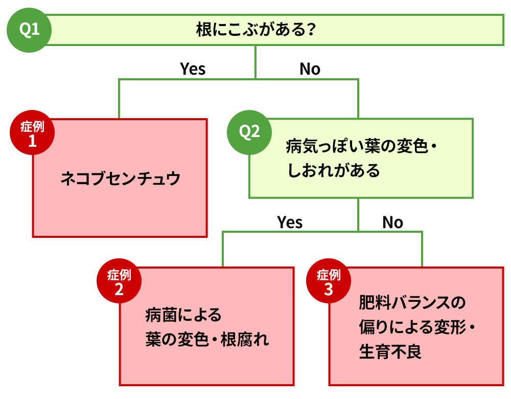 ナス・ジャガイモの連作障害の症例
