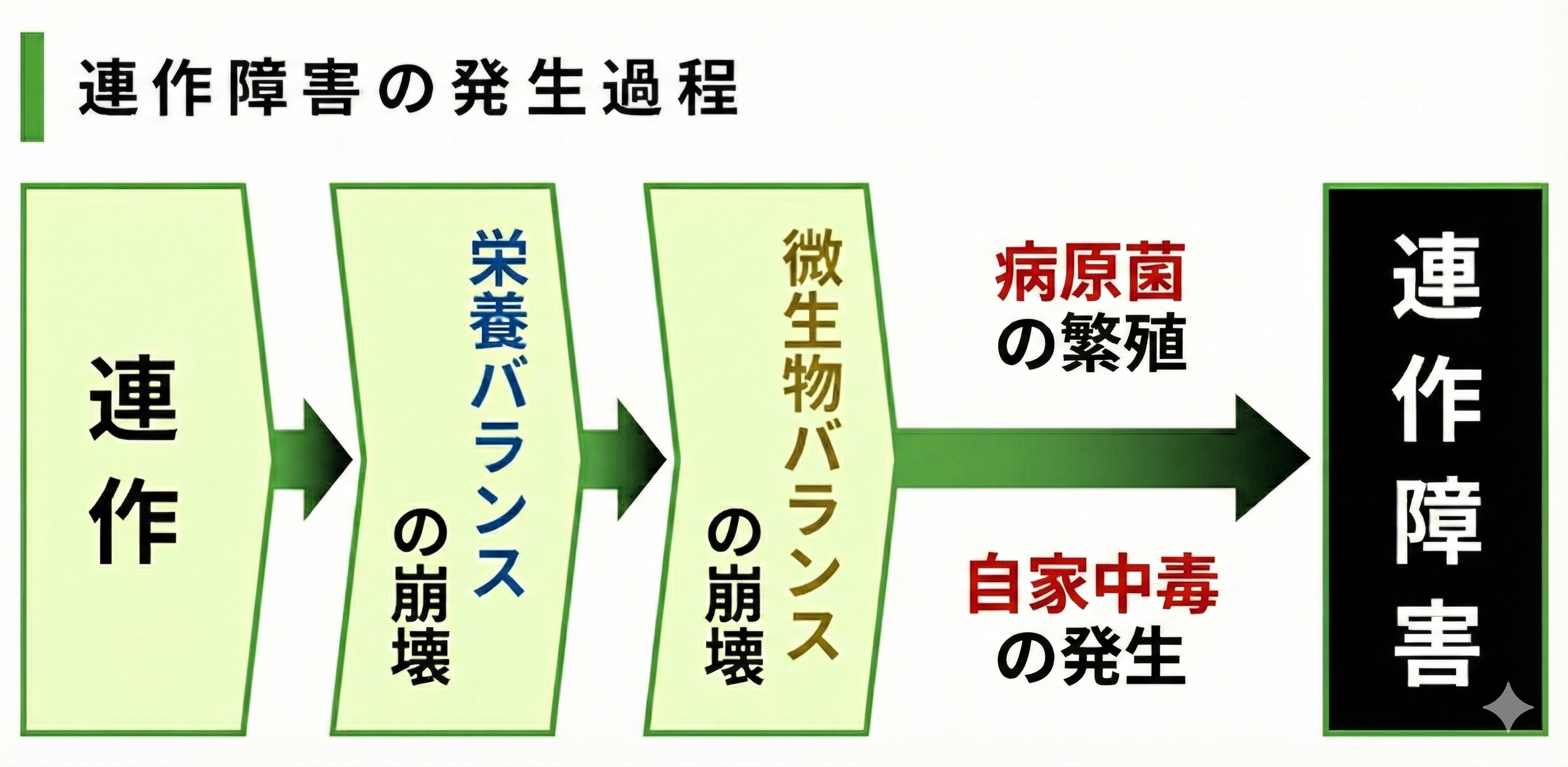 連作障害はなぜ起こるのか？