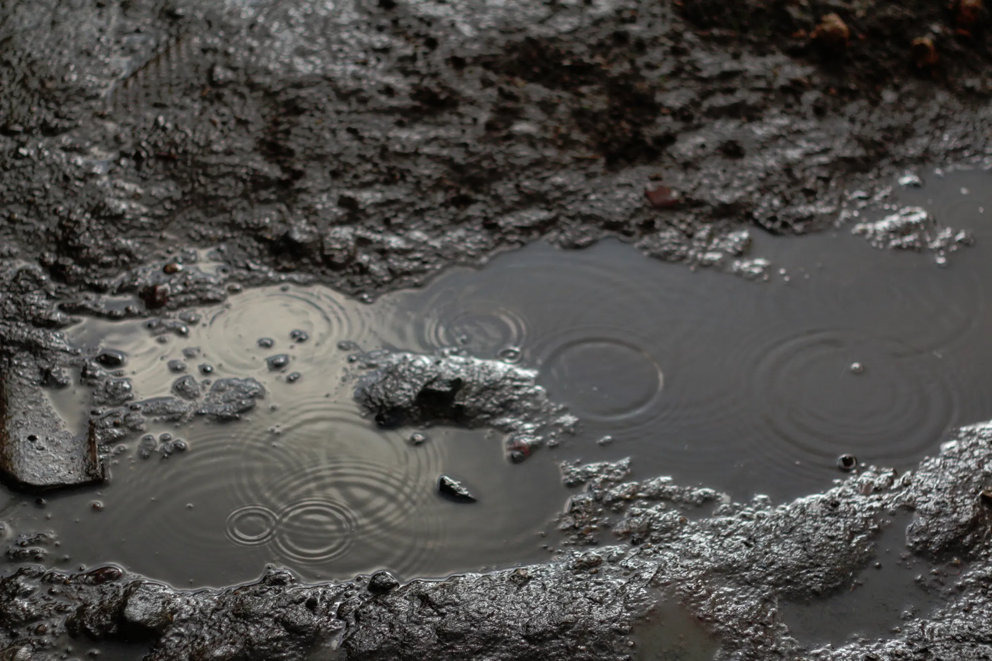 畑の水はけを改善！土壌改良剤のおすすめは「微生物資材」です