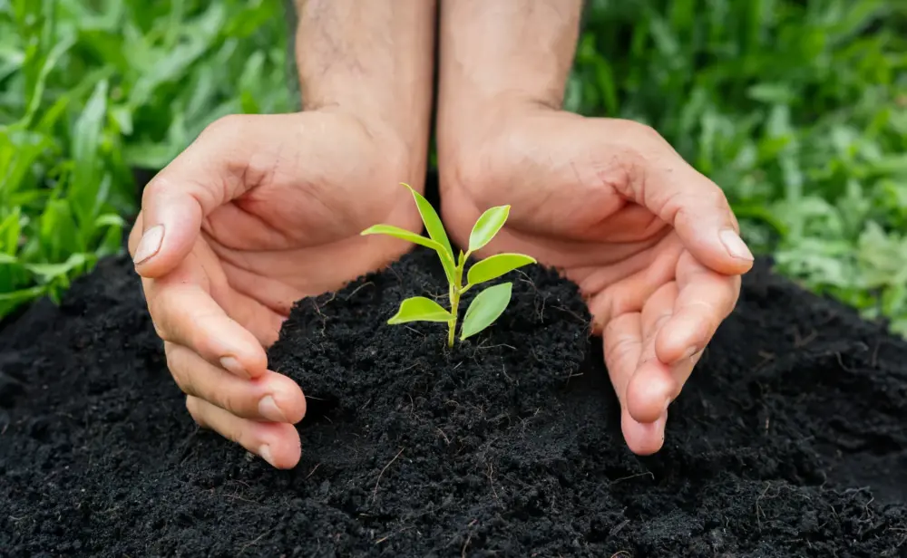 微生物資材のメリットと施用の注意点