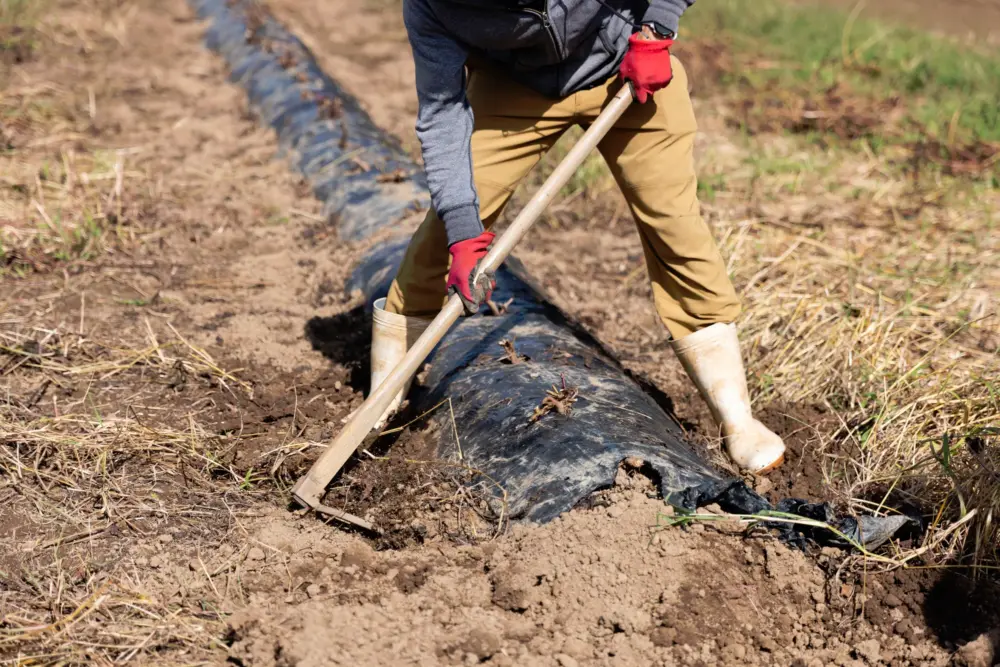 土壌改良とは何をする？