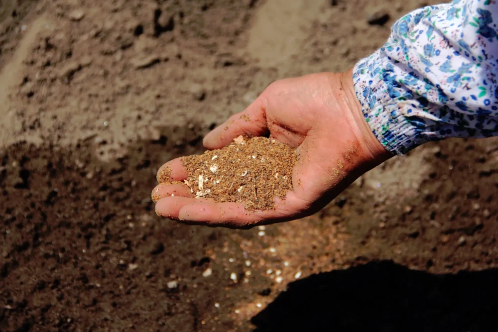 コツ1：使い勝手で形状（粉・粒・液体）を選ぶ