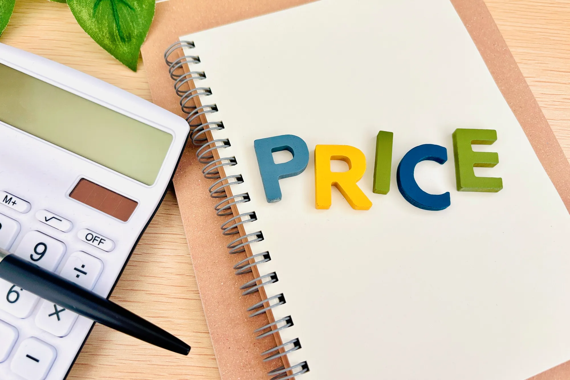 【価格比較】「カルスNC-R」の価格相場、安く入手する方法は？