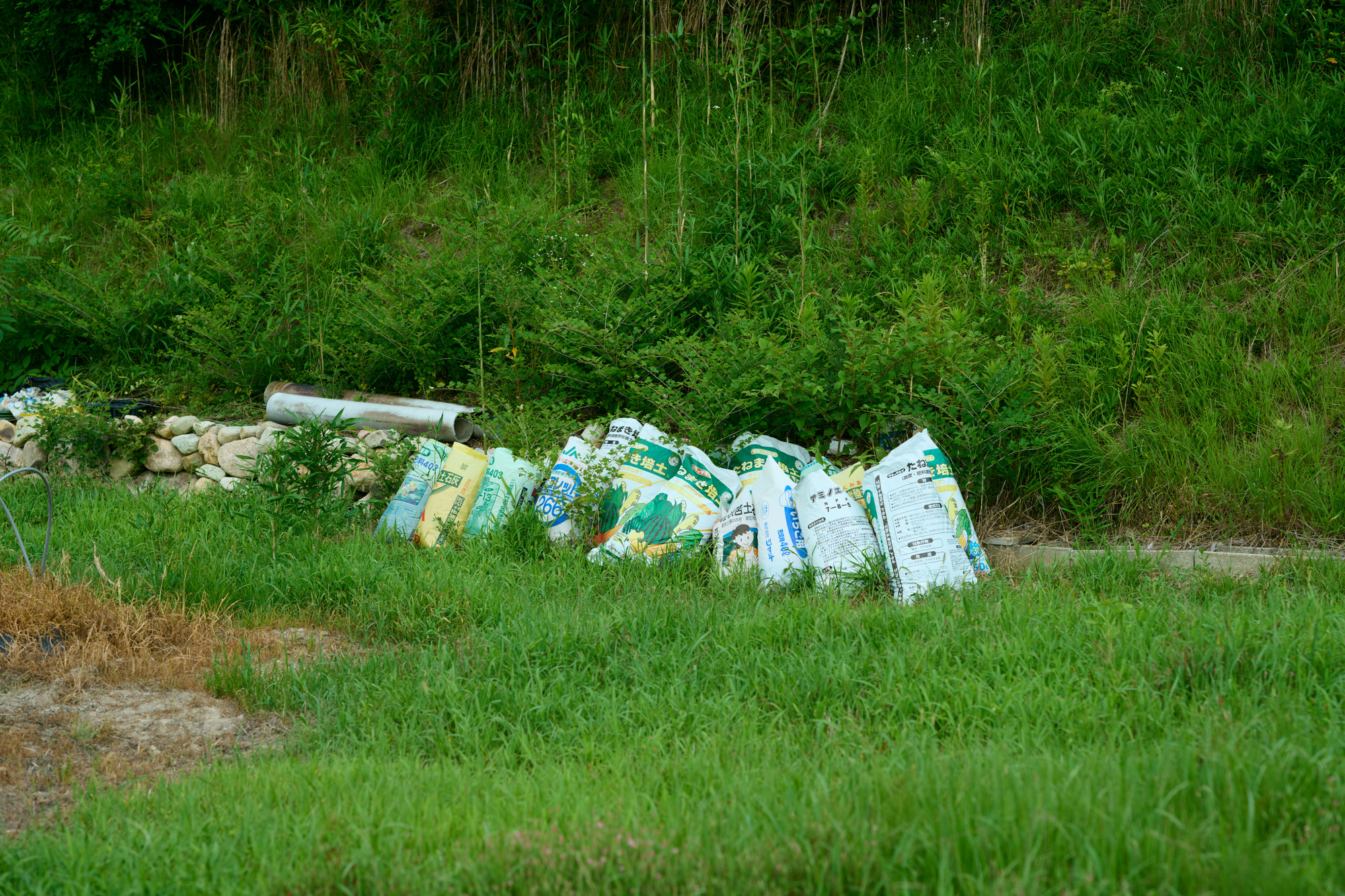 目的別！微生物資材の活用戦略