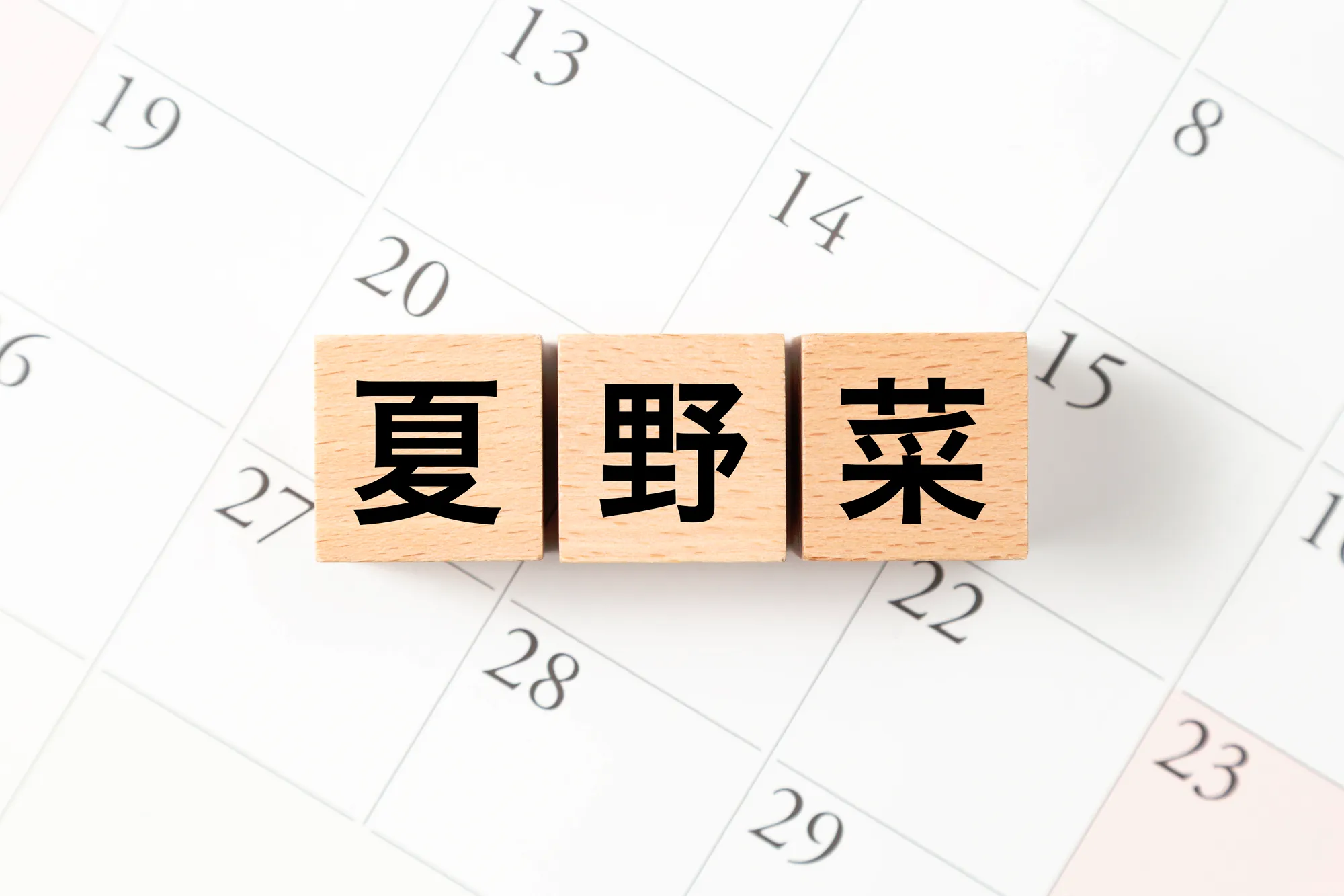 夏野菜の土づくり