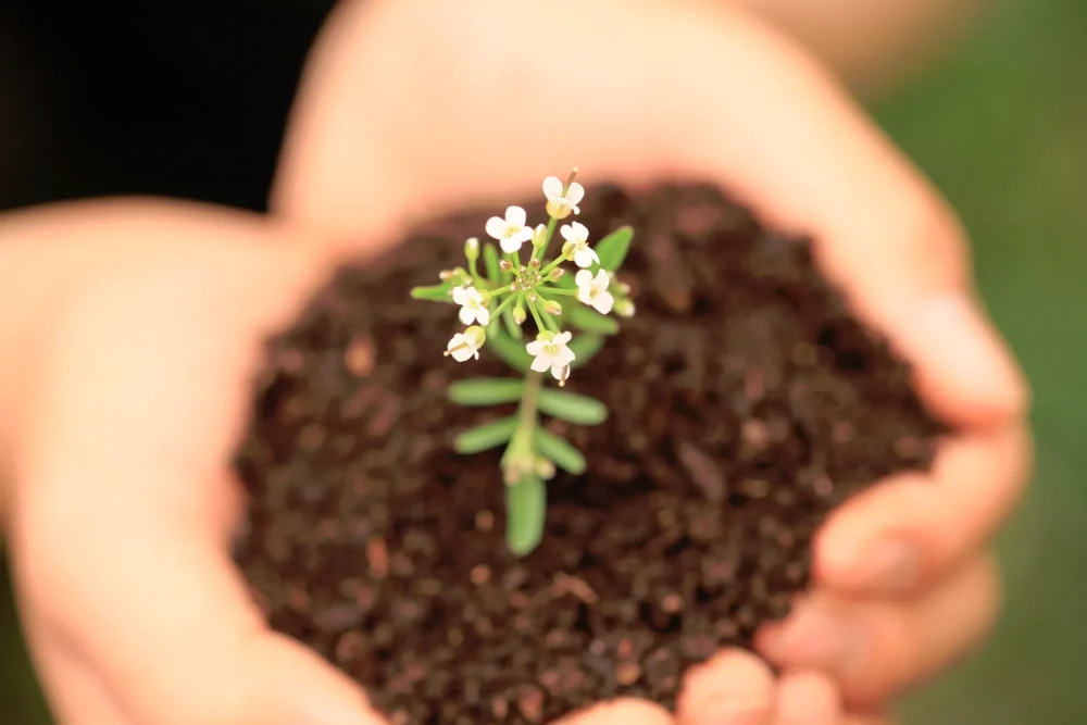 微生物の「菌力アップ」を支える環境作り