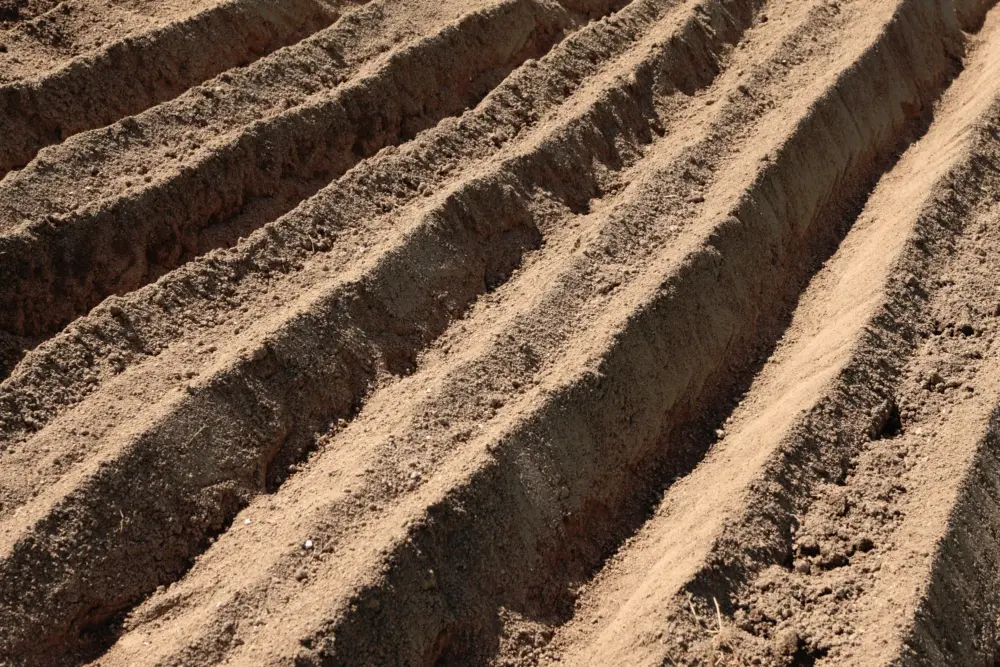 畑の土づくりが変わる！化成肥料依存を脱し、微生物資材で土壌を改善する方法