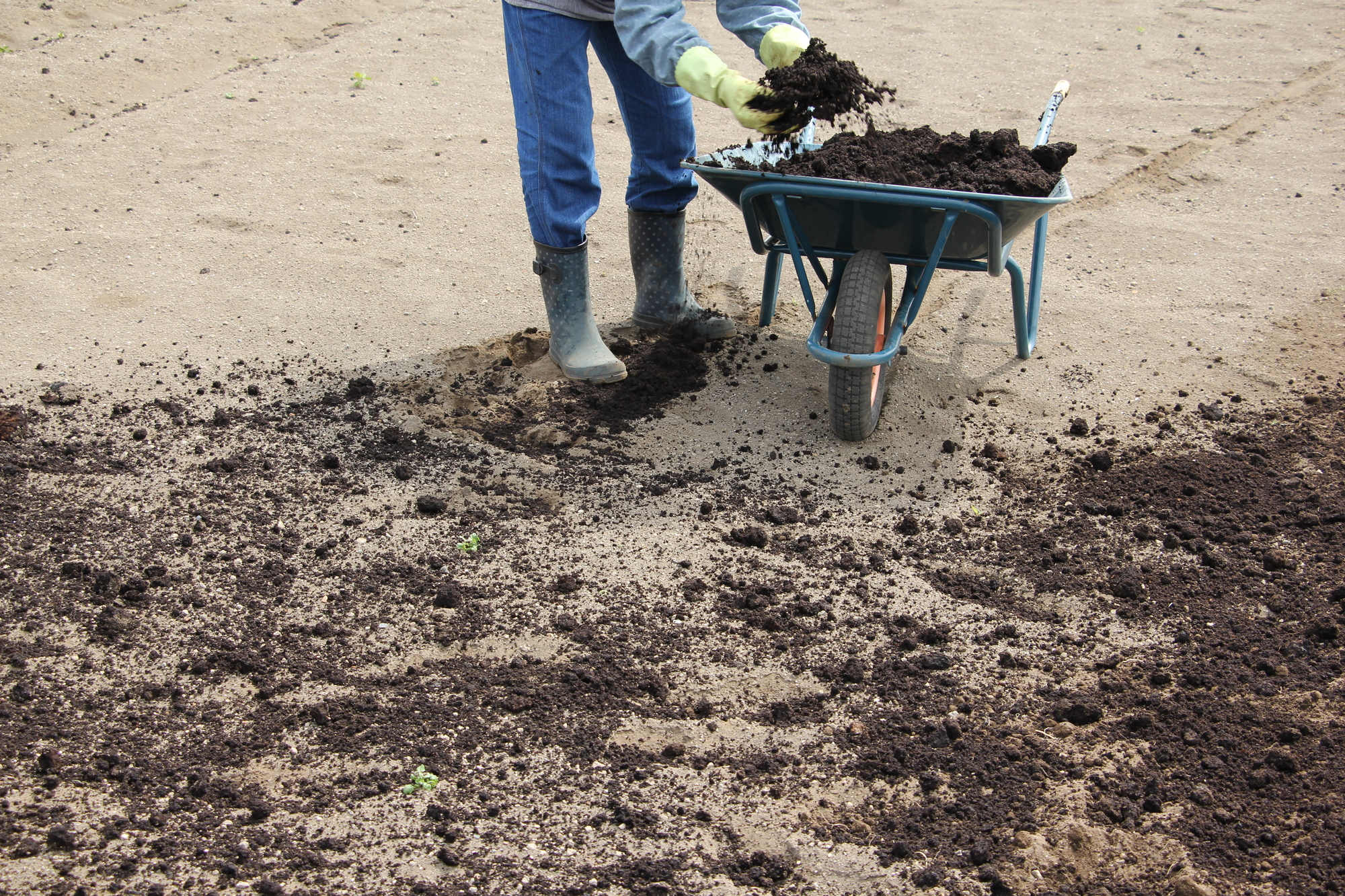 連作障害を防ぐ土壌改良技術