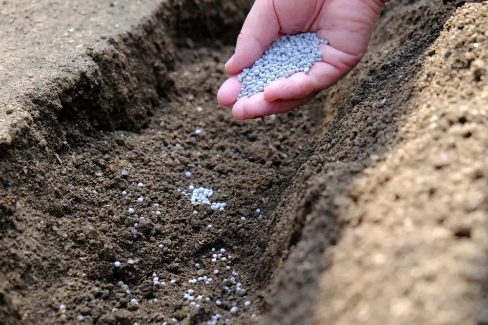 土壌改良を決定づける微生物資材