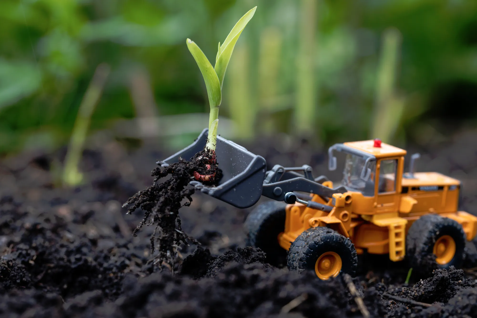 今すぐ実践！畑の土をふかふかにする微生物資材の活用手順