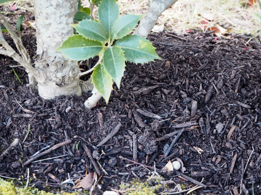 土壌の状態に合わせた微生物の種類と選び方